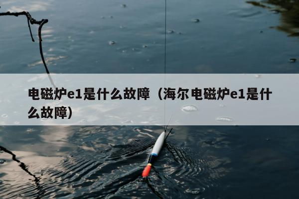 电磁炉e1是什么故障（海尔电磁炉e1是什么故障）