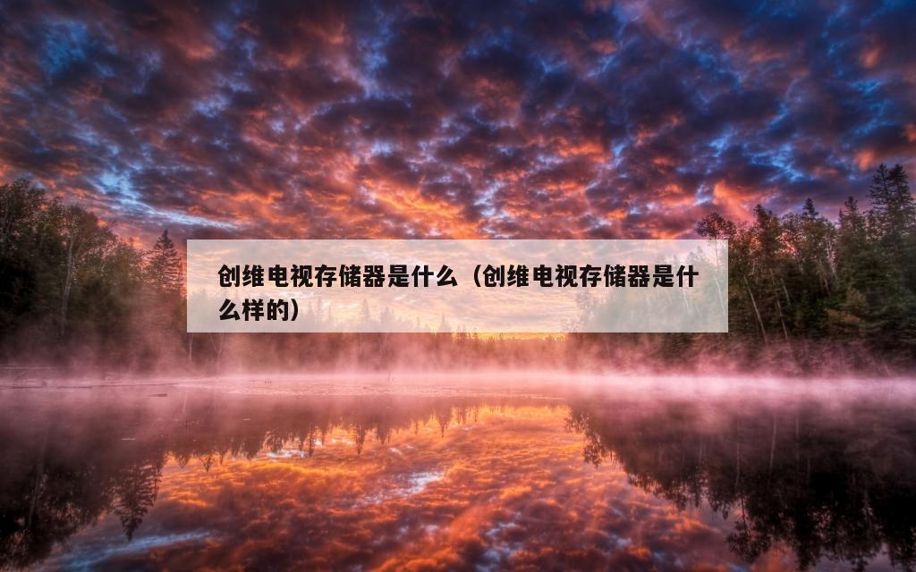 创维电视存储器是什么（创维电视存储器是什么样的）