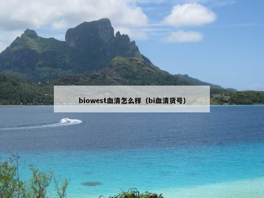 biowest血清怎么样（bi血清货号）