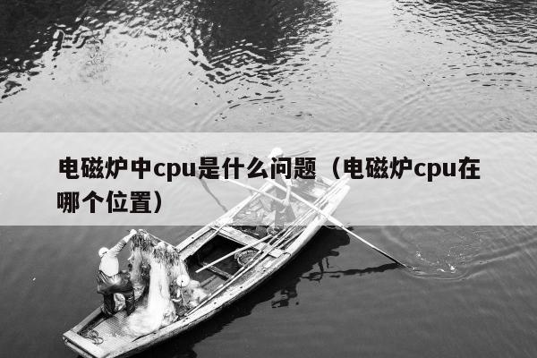 电磁炉中cpu是什么问题（电磁炉cpu在哪个位置）