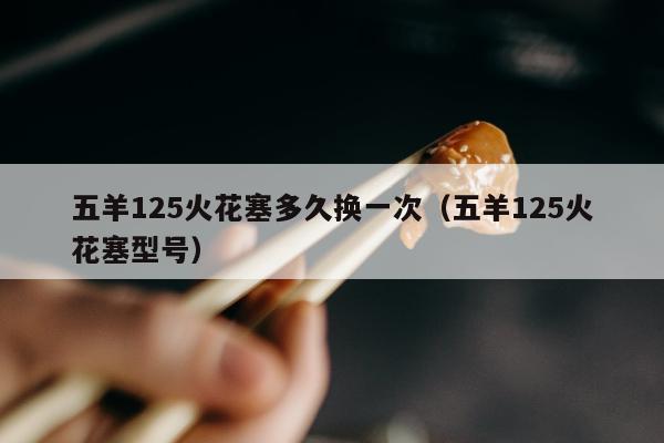 五羊125火花塞多久换一次（五羊125火花塞型号）