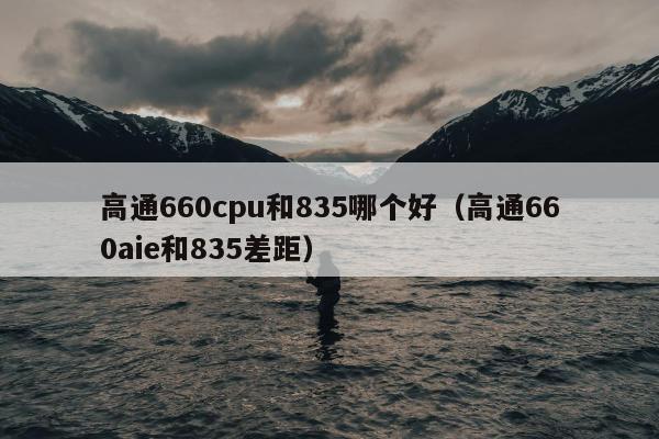 高通660cpu和835哪个好（高通660aie和835差距）