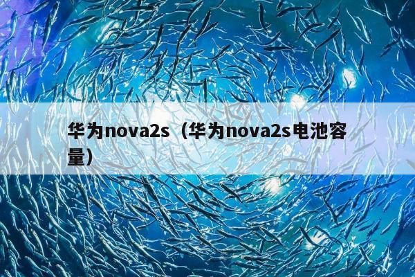 华为nova2s（华为nova2s电池容量）