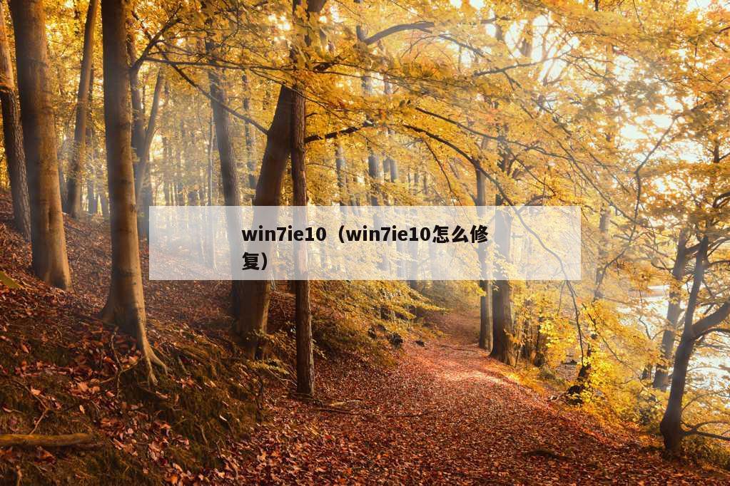 win7ie10（win7ie10怎么修复）