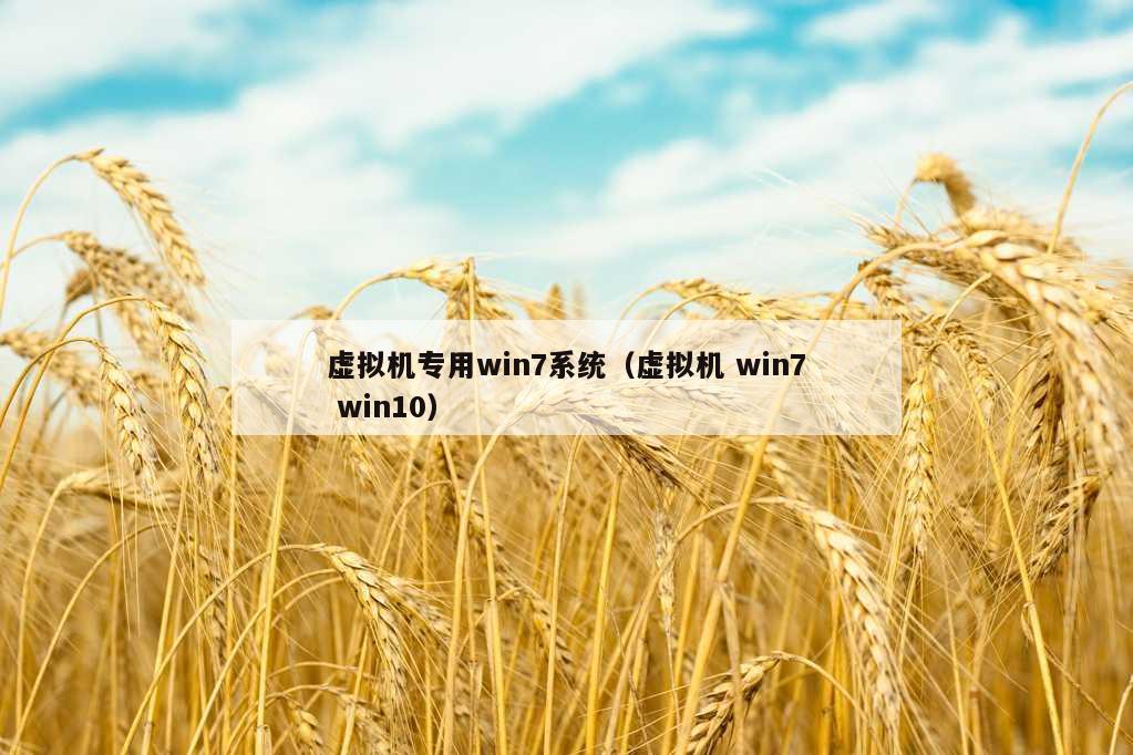 虚拟机专用win7系统（虚拟机 win7 win10）