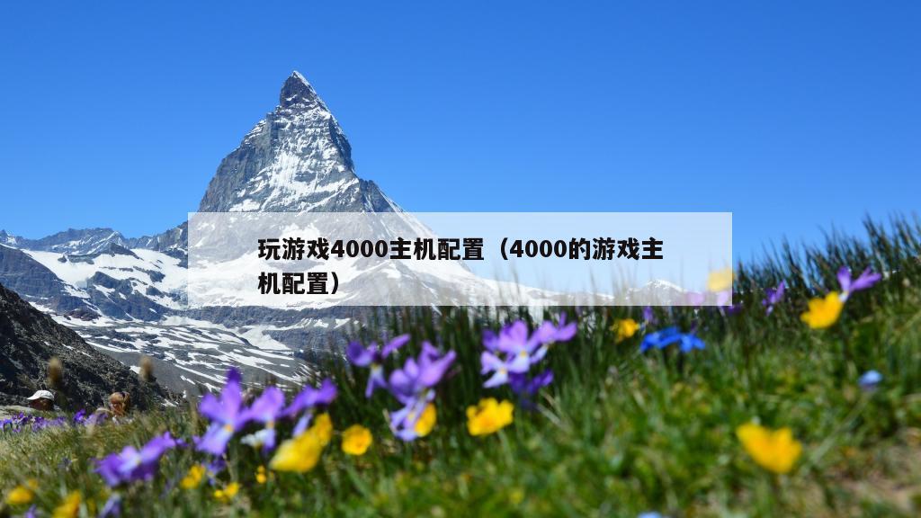 玩游戏4000主机配置（4000的游戏主机配置）