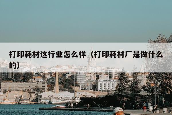 打印耗材这行业怎么样（打印耗材厂是做什么的）