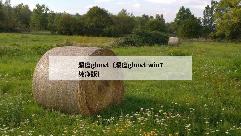 深度ghost（深度ghost win7纯净版）