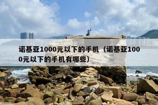 诺基亚1000元以下的手机（诺基亚1000元以下的手机有哪些）