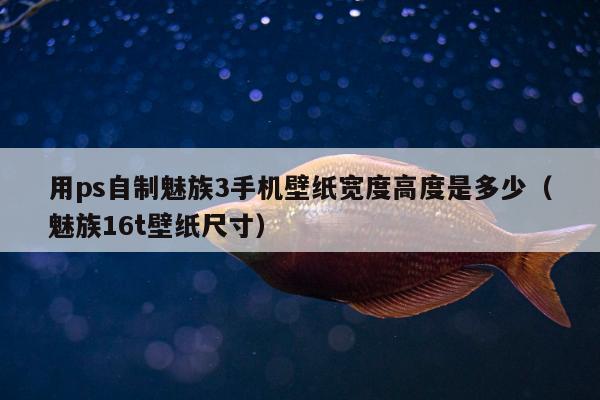 用ps自制魅族3手机壁纸宽度高度是多少（魅族16t壁纸尺寸）