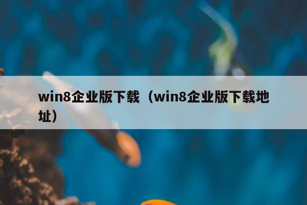 win8企业版下载（win8企业版下载地址）