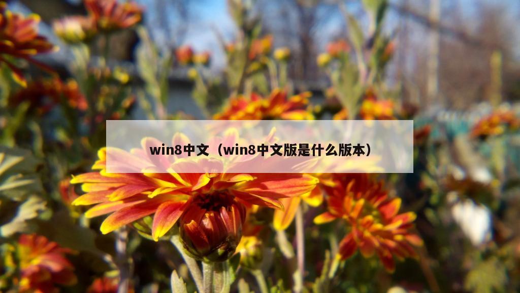 win8中文（win8中文版是什么版本）