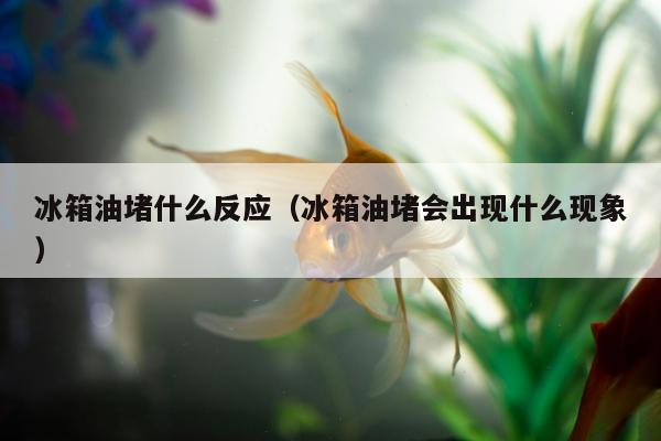 冰箱油堵什么反应（冰箱油堵会出现什么现象）