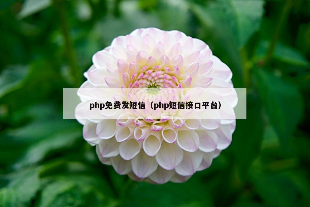 php免费发短信（php短信接口平台）