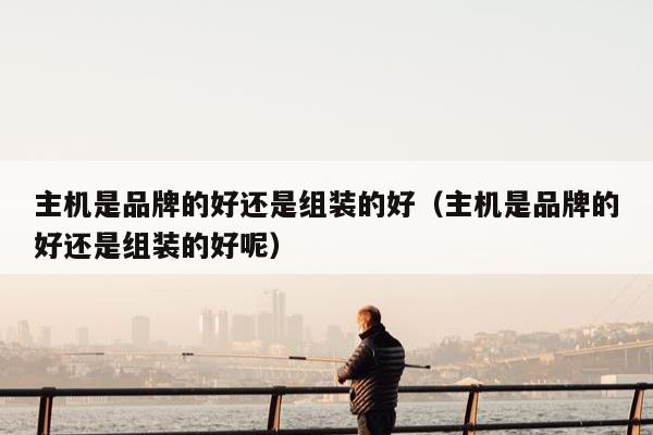 主机是品牌的好还是组装的好（主机是品牌的好还是组装的好呢）