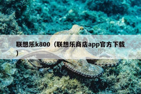 联想乐k800（联想乐商店app官方下载）