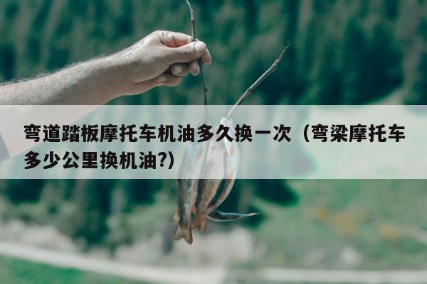 弯道踏板摩托车机油多久换一次（弯梁摩托车多少公里换机油?）