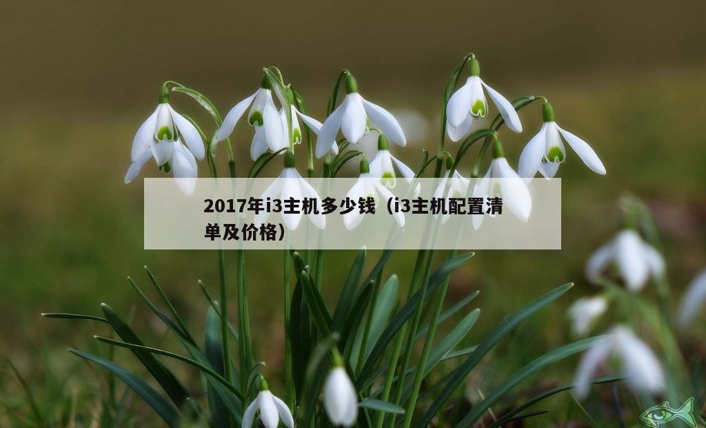 2017年i3主机多少钱（i3主机配置清单及价格）