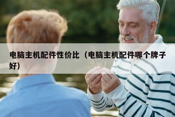 电脑主机配件性价比（电脑主机配件哪个牌子好）