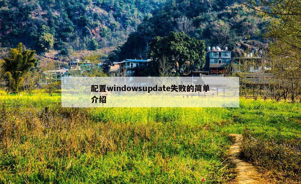 配置windowsupdate失败的简单介绍