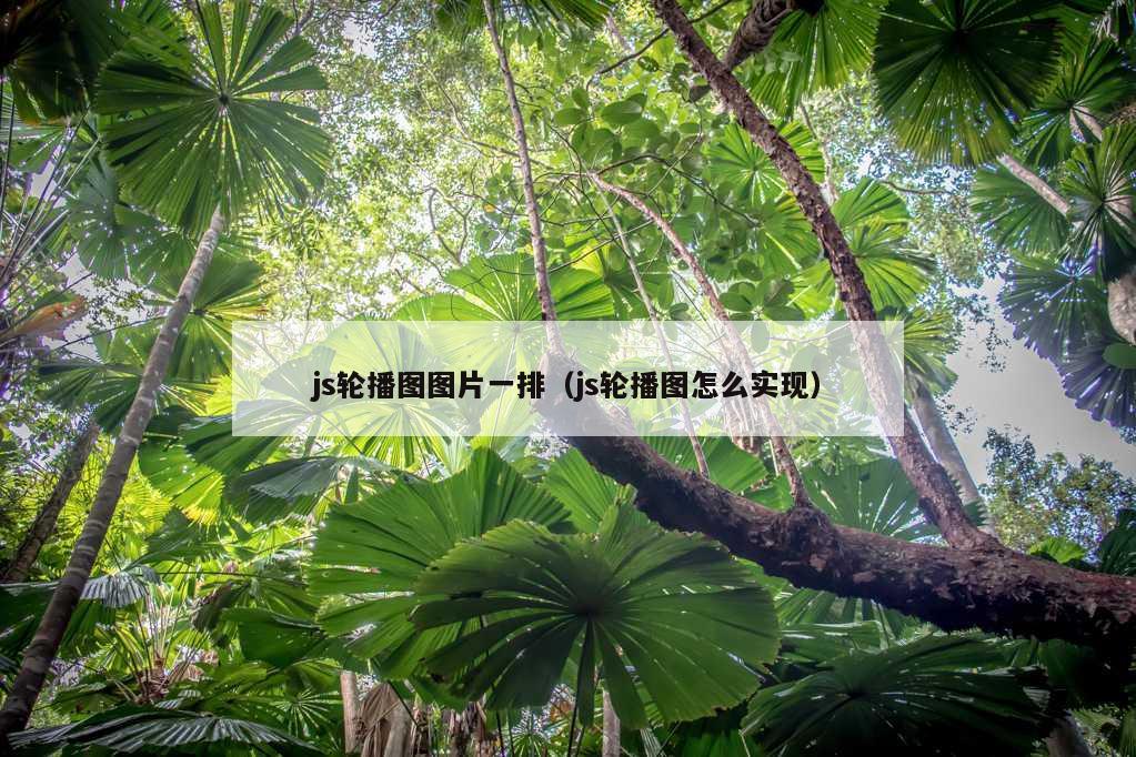 js轮播图图片一排（js轮播图怎么实现）