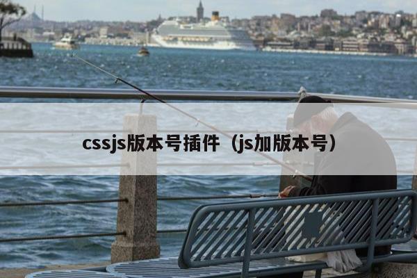 cssjs版本号插件（js加版本号）