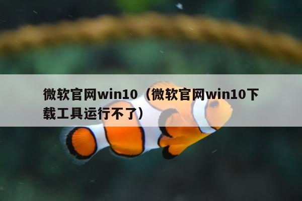 微软官网win10（微软官网win10下载工具运行不了）