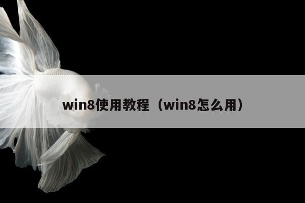 win8使用教程（win8怎么用）