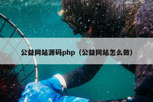 公益网站源码php（公益网站怎么做）