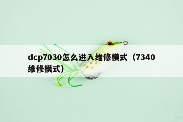 dcp7030怎么进入维修模式（7340维修模式）