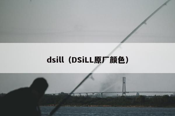 dsill（DSiLL原厂颜色）