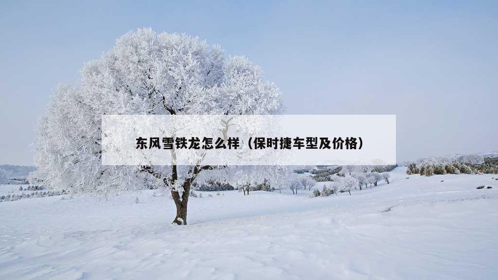 东风雪铁龙怎么样（保时捷车型及价格）