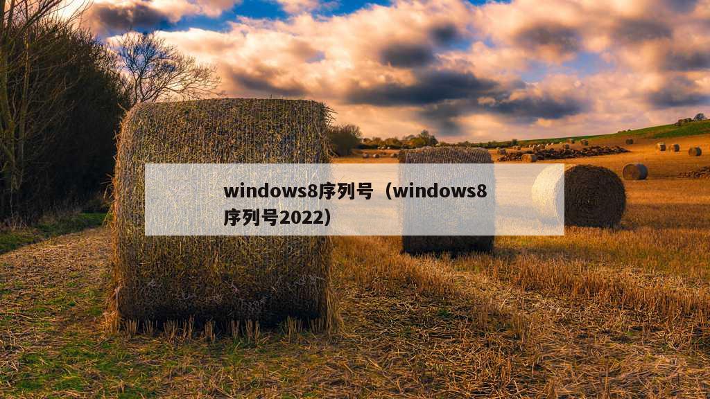 windows8序列号（windows8序列号2022）