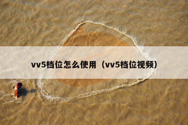 vv5档位怎么使用（vv5档位视频）