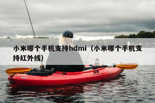 小米哪个手机支持hdmi（小米哪个手机支持红外线）