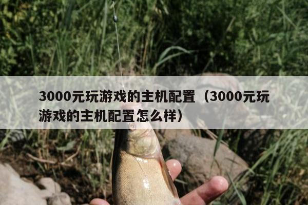 3000元玩游戏的主机配置（3000元玩游戏的主机配置怎么样）