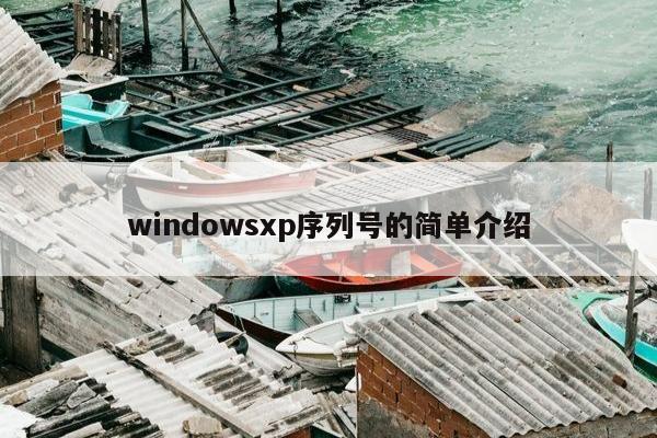 windowsxp序列号的简单介绍