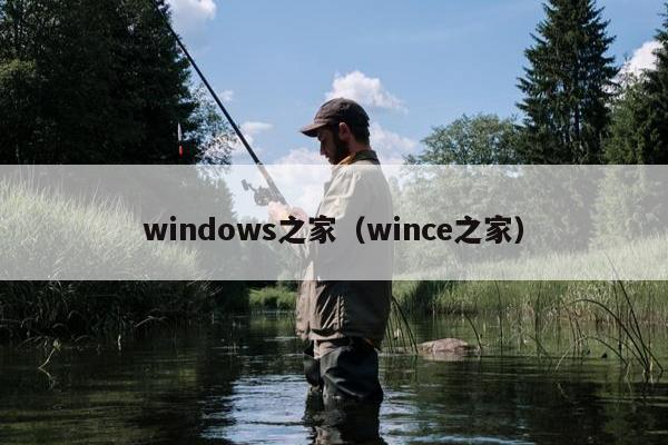 windows之家（wince之家）