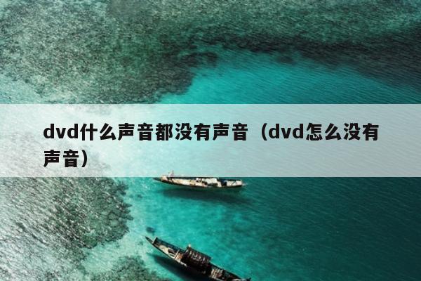 dvd什么声音都没有声音（dvd怎么没有声音）