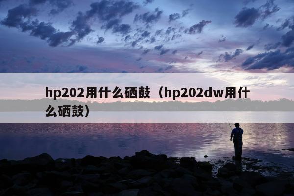 hp202用什么硒鼓（hp202dw用什么硒鼓）