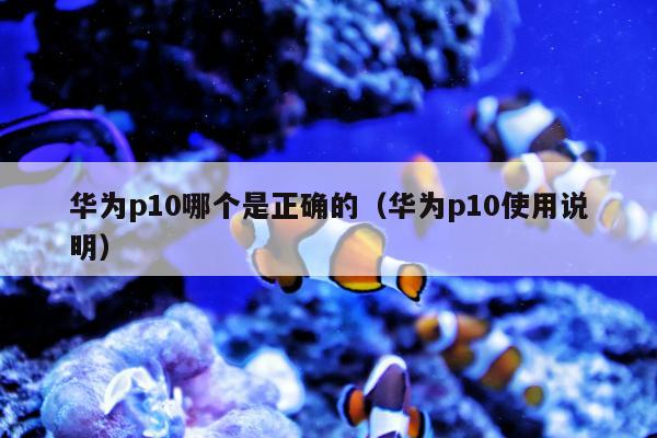 华为p10哪个是正确的（华为p10使用说明）