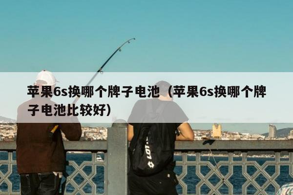 苹果6s换哪个牌子电池（苹果6s换哪个牌子电池比较好）