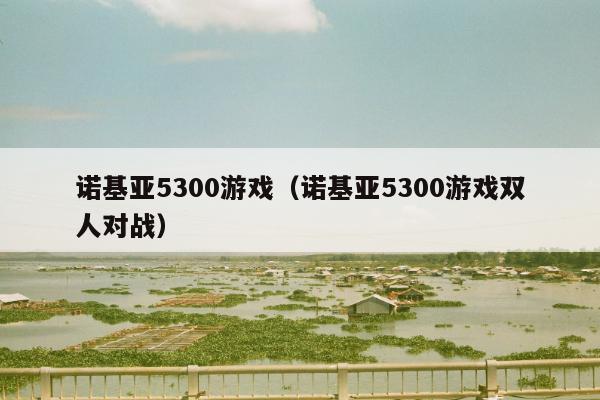 诺基亚5300游戏（诺基亚5300游戏双人对战）