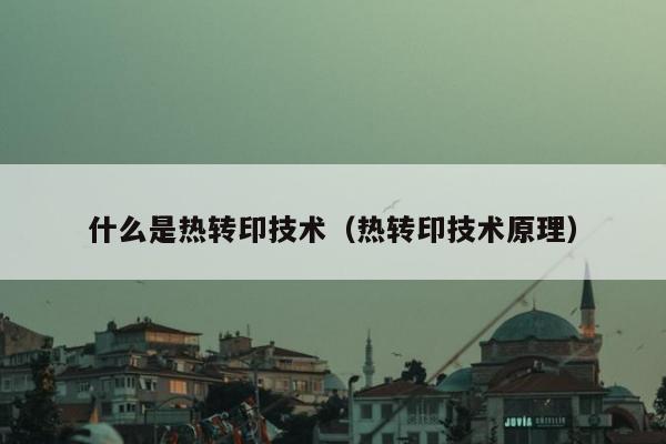 什么是热转印技术（热转印技术原理）