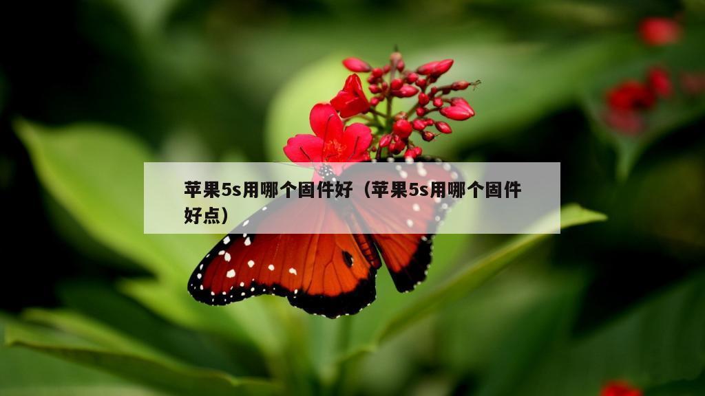 苹果5s用哪个固件好（苹果5s用哪个固件好点）