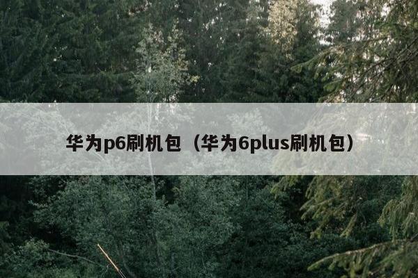 华为p6刷机包（华为6plus刷机包）