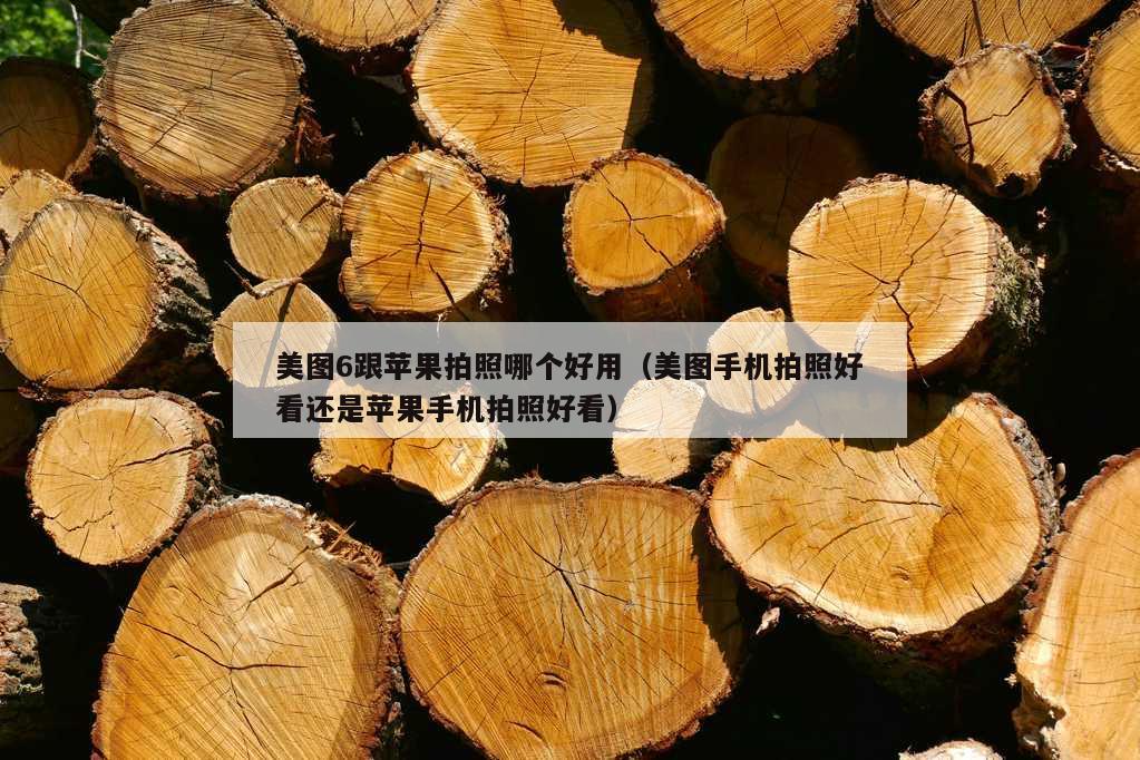 美图6跟苹果拍照哪个好用（美图手机拍照好看还是苹果手机拍照好看）