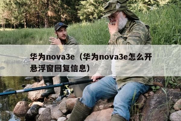 华为nova3e（华为nova3e怎么开悬浮窗回复信息）