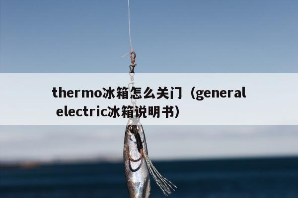 thermo冰箱怎么关门（general electric冰箱说明书）