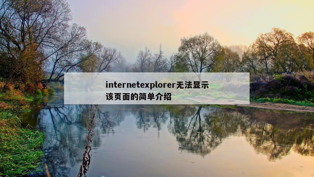 internetexplorer无法显示该页面的简单介绍